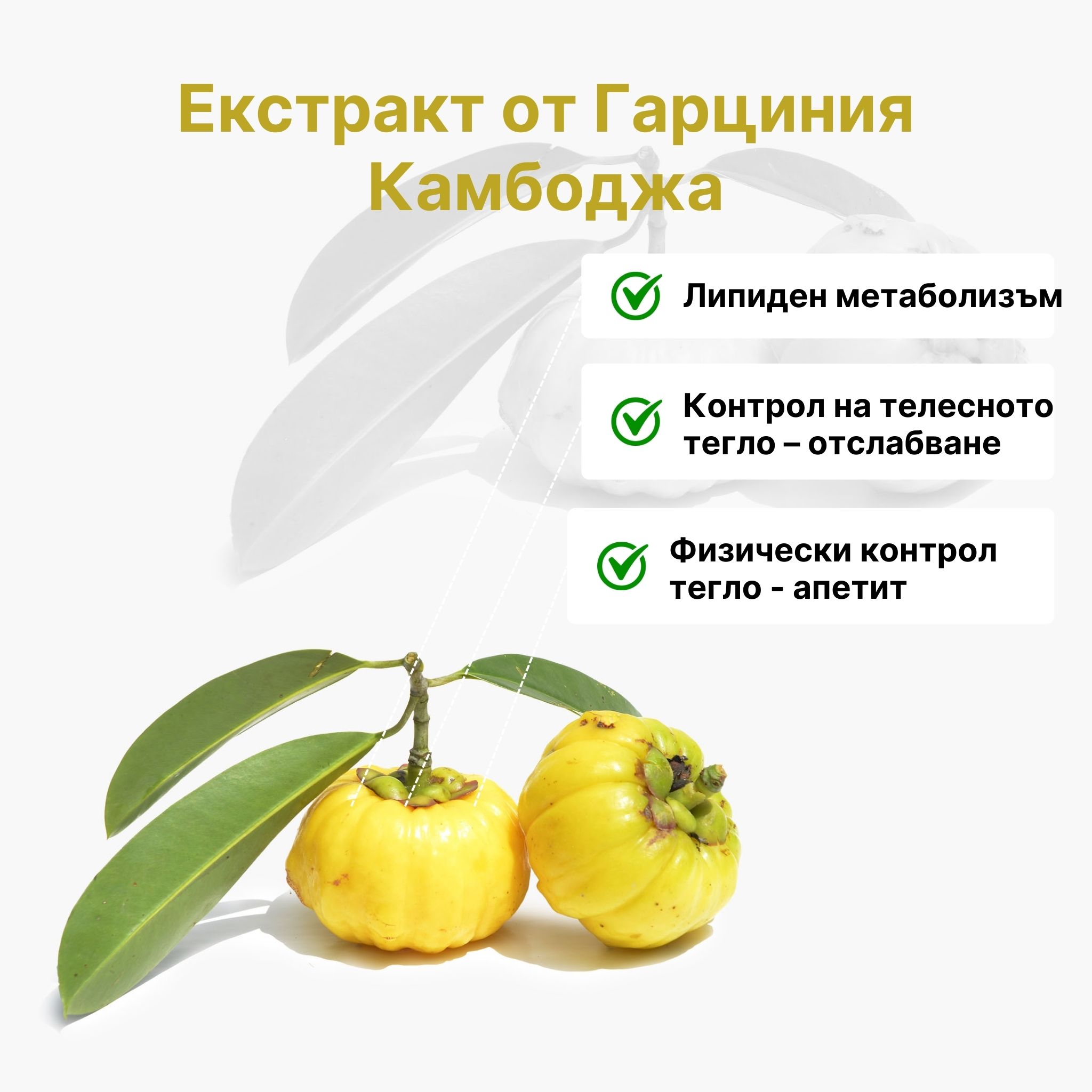 (Bulharština)_1